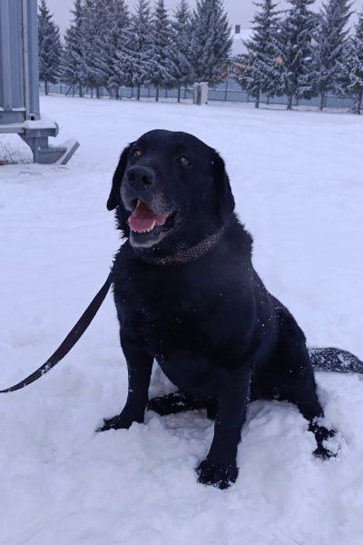 ���� ������ �� ��������� ������� � ������������ �� ��. 14 ������������ ������ �� 27.12.2018 � 498-�� ��� ������������� ��������� � ��������� � � �������� ��������� � ��������� ��������������� ���� ���������� ���������...