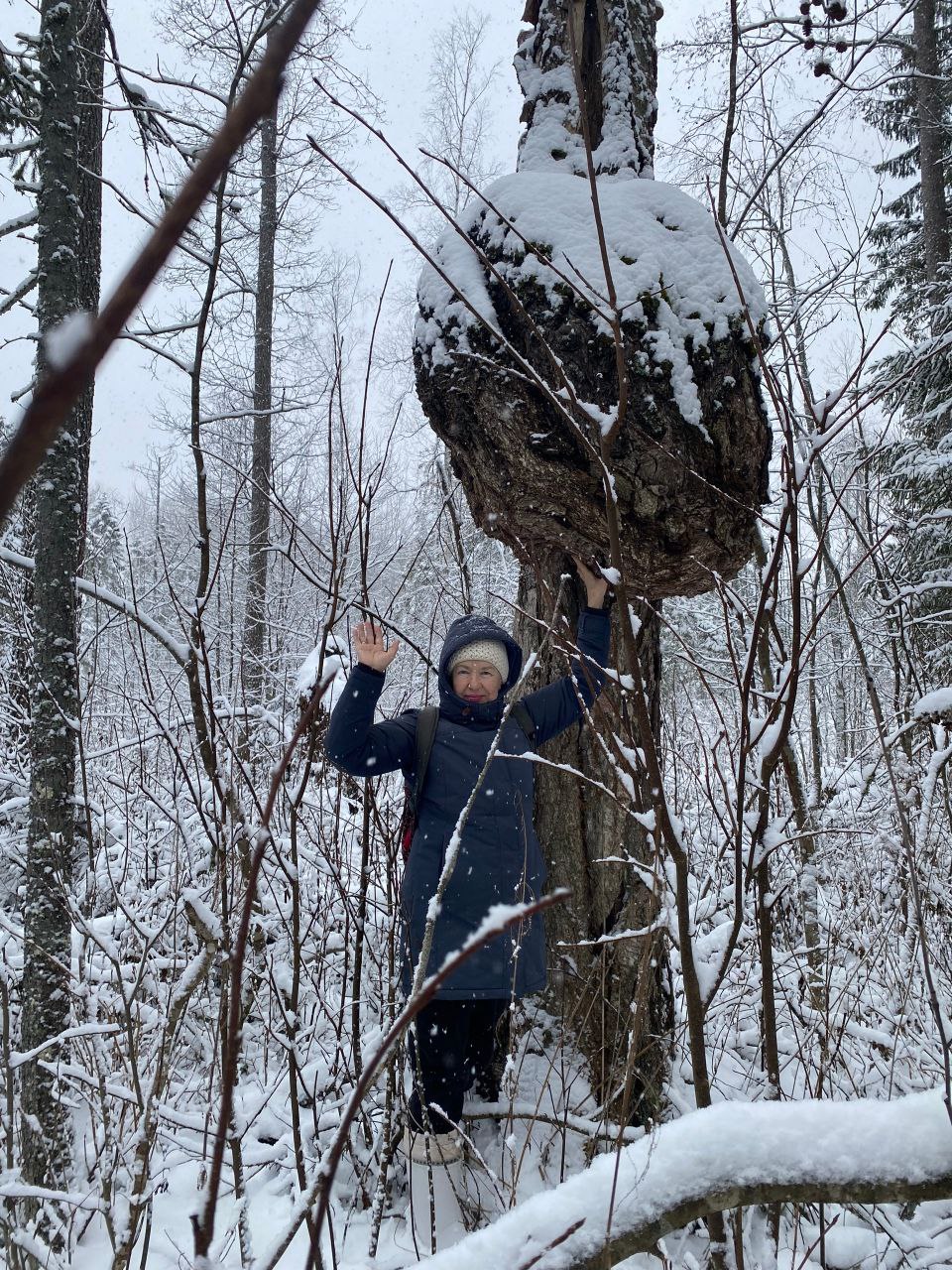 В лесах Котельничского района нашли гигантский сувель В лесах Котельничского района нашли гигантский сувель