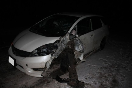 Информация носит предварительный характер