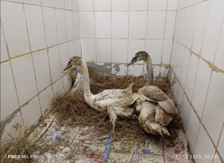 �������� ������� ������ �������, ������� ��� �� �������� � �������