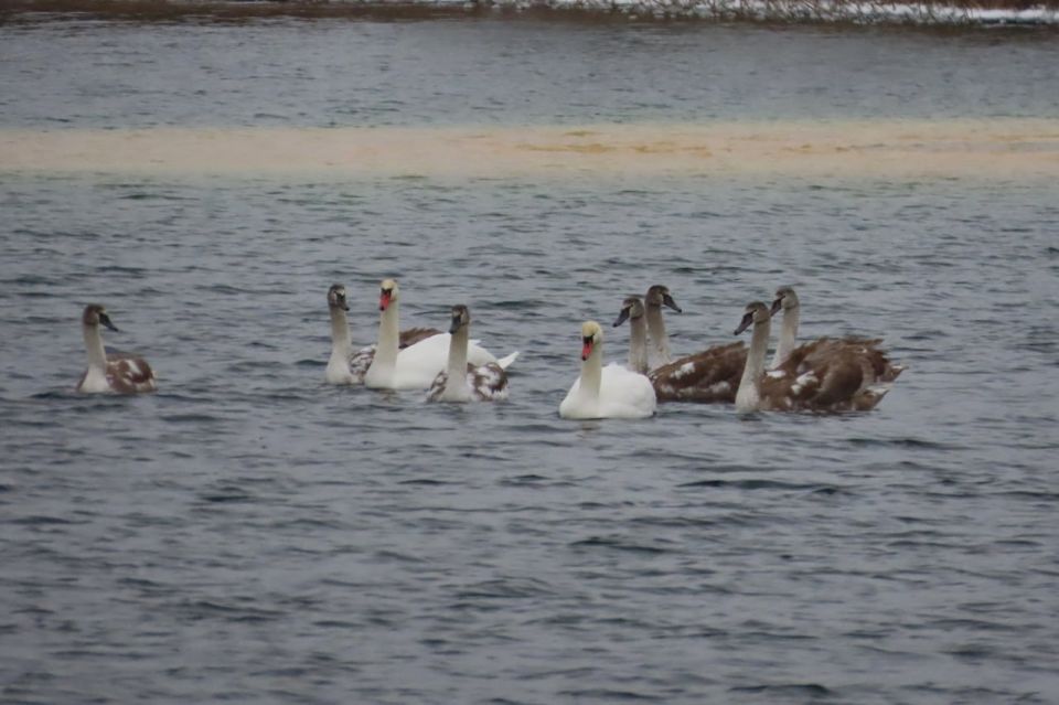 ��������� ����� �� ��������� ����� �. ������ ���� �������� �� ������ � ����� ��