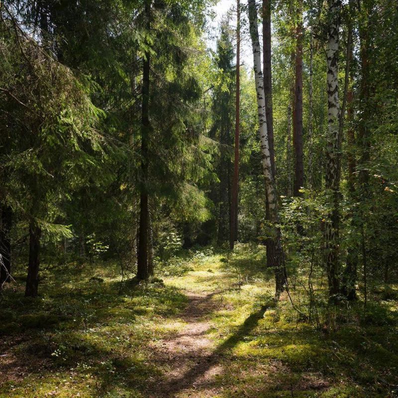 ��������� ������� �������� ������ ����� � ������ �� ������������ ������� ���������