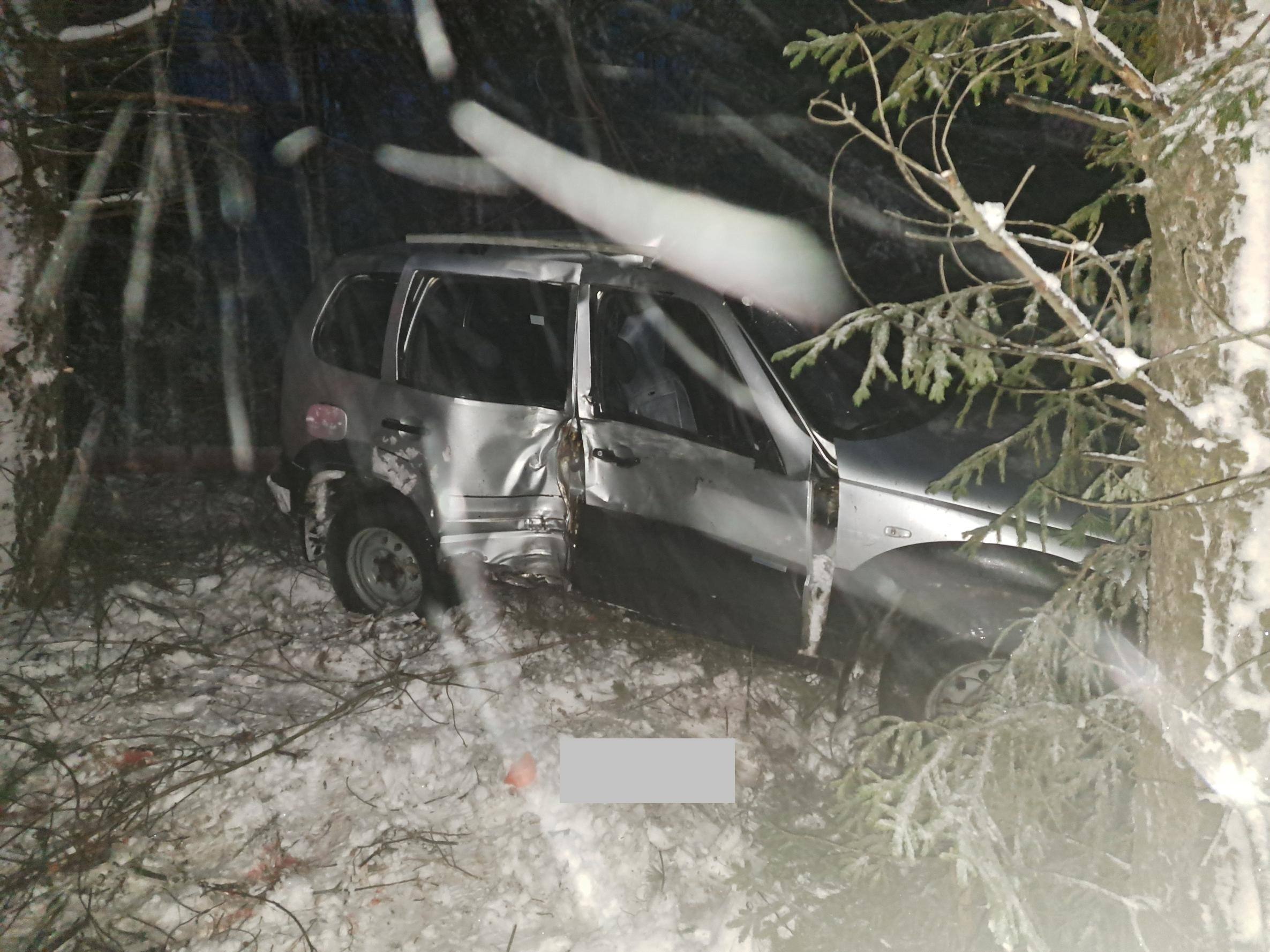 Информация носит предварительный характер