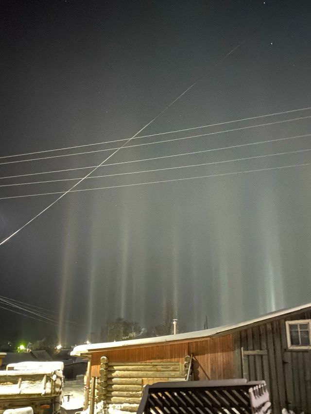 Световой лес вырос в Афанасьево Световой лес вырос в Афанасьево