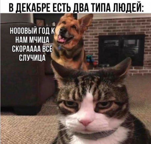 #��������. @Kirov_grad