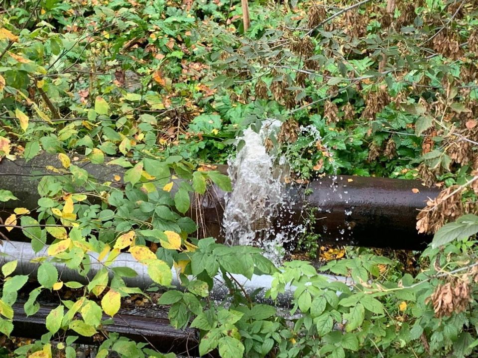 #��� #�����������������. � ��������� ������ ����������� ����� ��� ������� ������ �������������� ������� �� ���� ����������� ������� �������������