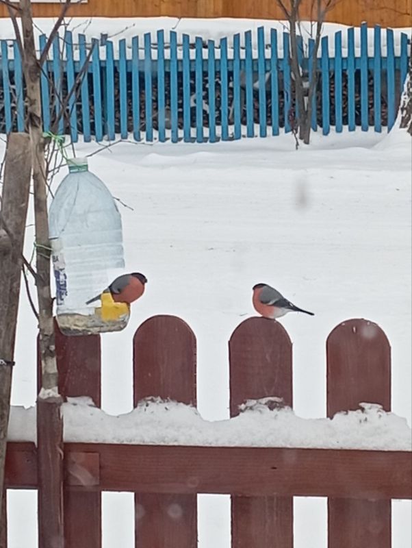 �� �����������:. ������ �������� ����� - ���, �������, �������