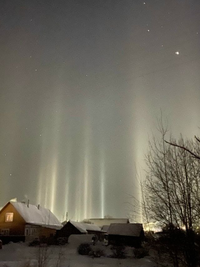 Световой лес минувшим вечером в Афонасьево Световой лес минувшим вечером в Афонасьево