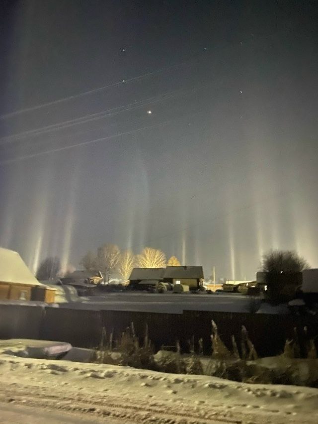 Световой лес минувшим вечером в Афонасьево