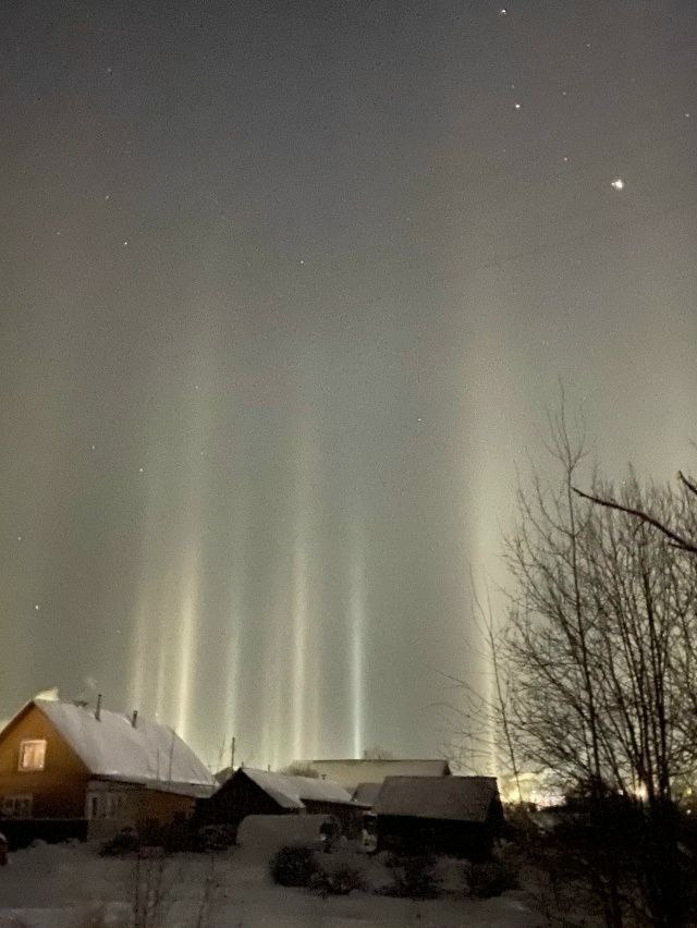 Световой лес вырос в Афанасьево Световой лес вырос в Афанасьево