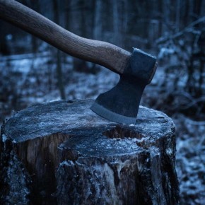 �� ���������� ��������� ������� ���������� ����������� �� ������ �������� ������� ����� � �������������� ������