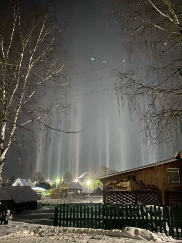 Световой лес вырос в Афанасьево