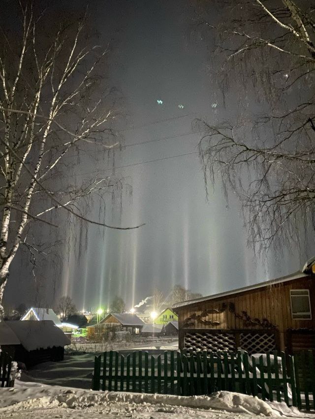 Световой лес вырос в Афанасьево