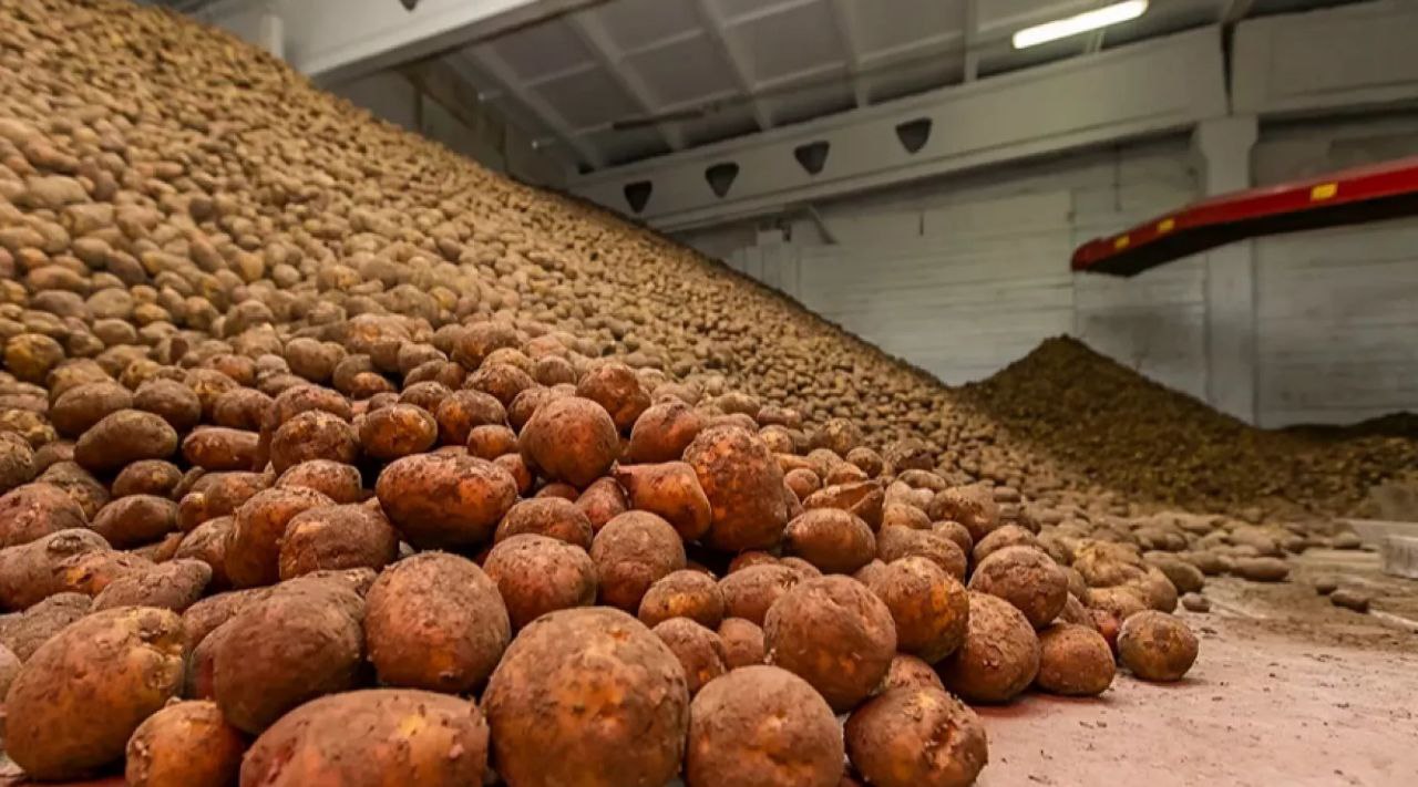 Удовлетворен иск прокуратуры о взыскании ущерба с недобросовестного производителя, не исполнившего обязательства по поставке 196 тонн картофеля в рамках заключенного госконтракта Удовлетворен иск прокуратуры о взыскании ущерба с недобросовестного производителя, не исполнившего обязательства по поставке 196 тонн картофеля в рамках заключенного госконтракта