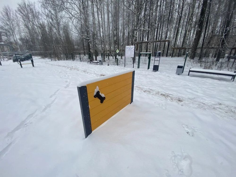 Еще одна площадка для выгула собак появилась в Кирове