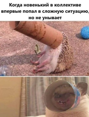 #шуткадня. @Kirov_grad