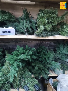 ��������� ������� �������� ����������� ������ ���������� ���