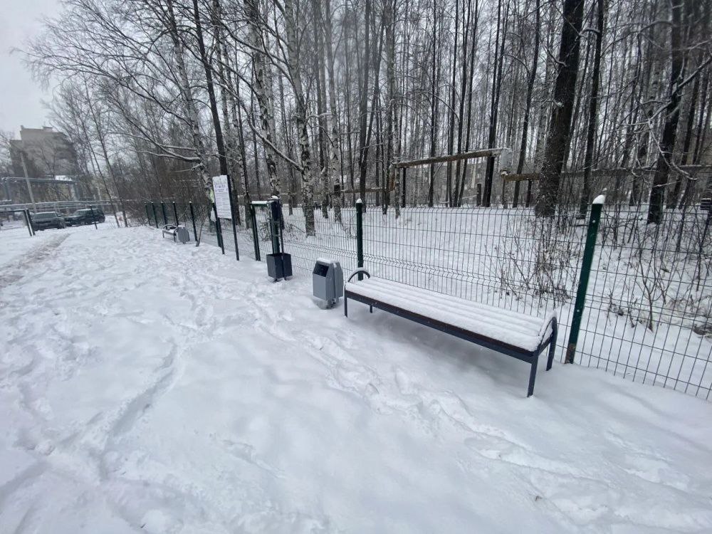 Еще одна площадка для выгула собак появилась в Кирове Еще одна площадка для выгула собак появилась в Кирове