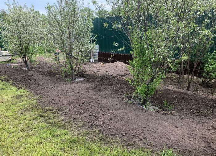 Необычное сочетание: как сода и зола могут преобразить ваш дачный участок