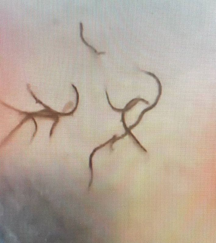 ������ ������ ��������� ������������ ������ ���������� �������� ����� � ������� �� �������� ������������� ����