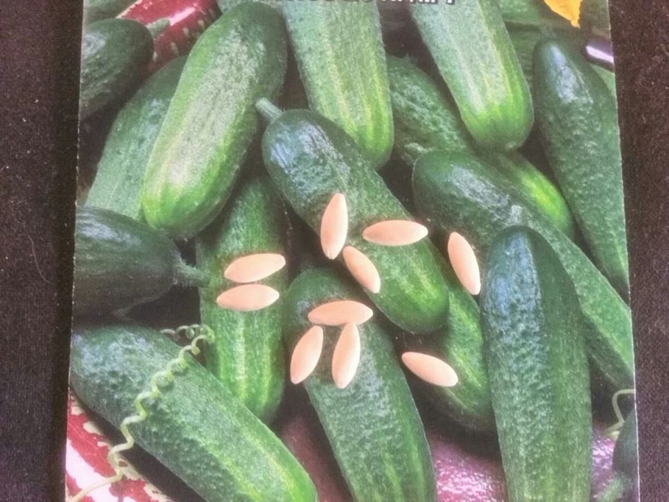 ����������� ��������������� ����� ������� �� ������ �. �. �����