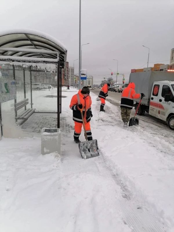 �������� ������ ������ ��������� ����������� ���������