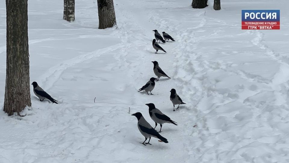 � �������, 19 �������, � ��������� ������� ��������� �������� ������, ��������� ����