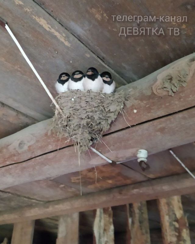 ������� ��������������� � ������ ������