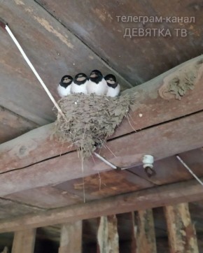 ������� ��������������� � ������ ������