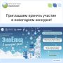 В Кировской области продолжается прием заявок на участие в ежегодном новогоднем конкурсе «ЭкоЁлка в каждый дом!»