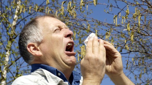 ���� ������� ��� ����������� ������� ������� ��������