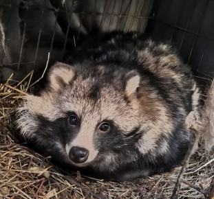 ���� �� �������� ���������� ������ ������������ �������� "������� ������" ������� ����� � ������ ������