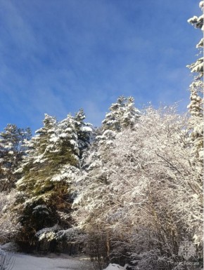 ��������: � ������ ���� ������