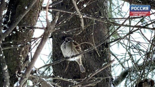 �� �������, 23 �������, � ��������� ������� ������� ������ �����������, �������� � ������������ ������, ����� � ��������, � �� ������� � �������