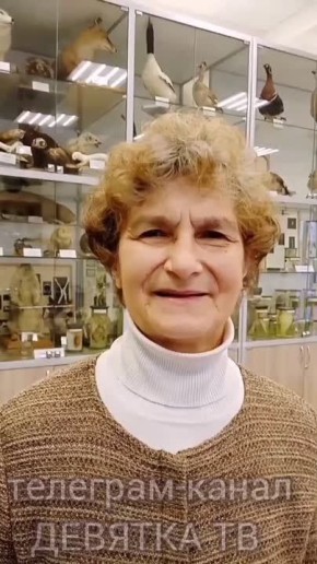 Ученые из Вятского ГАТУ опровергают слухи о клещах, которые прячутся в ёлках