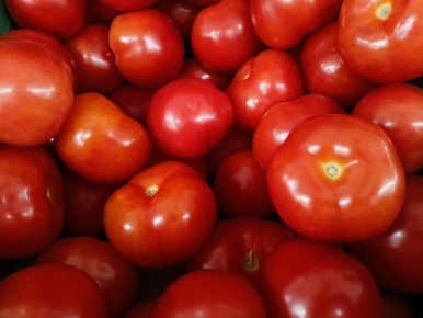 � ��������� ������� �� ��� �� 4,4% ��������� ���� �� �����