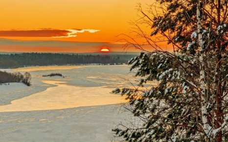 ������ ���� �� �����.. ����: ����� �����������