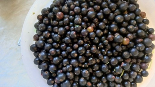 ������ ������� ������������ �� ������� ����: ������ ������� � ������