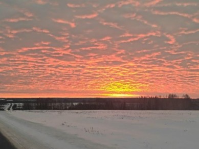 ������� � �������� ������. ����: ��������� ������ / ������������ ������������ � ������