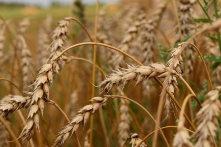 � ��������� ������� ��������� ��� ������� ������ ������� ��� ��������� �������