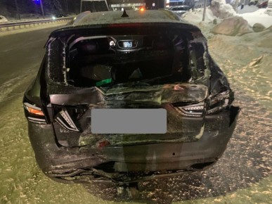 Информация носит предварительный характер