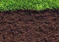 Эффективное обеззараживание почвы: как пленка помогает сохранить здоровье ваших растений