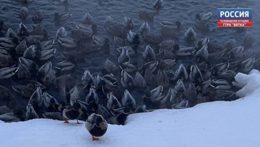 � �������, 27 �������, � ��������� ������� ������� �������� ������, ��������� ����� � ���������� �� �������, ���������� � ������������ ������ �� ����������������� � ����������� ���������� �����