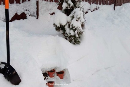 ��� ������ ����������� ����� ������ � �������� transform����� ��� ��� �� ��� ������