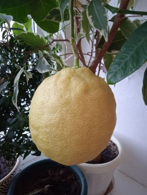 � ������ ���� � ����� �������� ��������� ��������� ������� ������