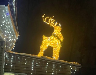 ��������� ������� ����� �������� �� ����� ������ �� ����� � �. �����