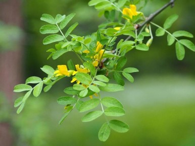 ������: �������������� ��������, ������� ������� ��� ���