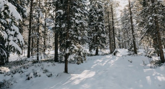 В Кировской области ожидается скорое наступление оттепели