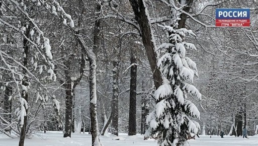 В понедельник, 29 декабря, в Кировской области обещают облачную с прояснениями погоду без существенных осадков