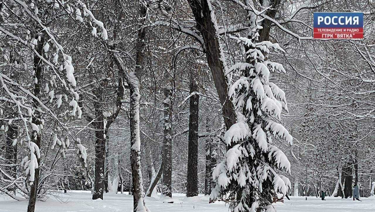 В понедельник, 29 декабря, в Кировской области обещают облачную с прояснениями погоду без существенных осадков